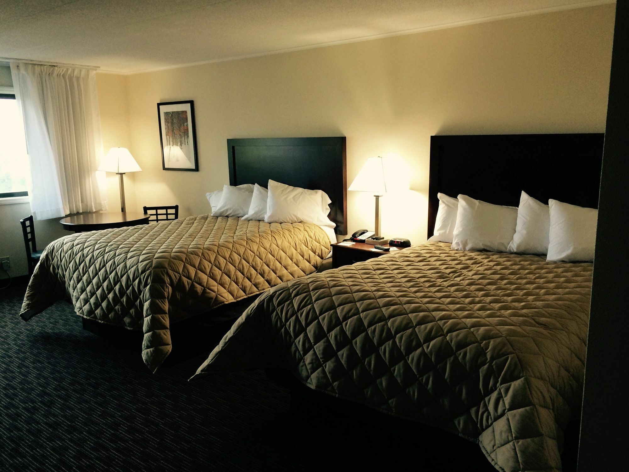 גלנה Chestnut Mountain Resort מראה חיצוני תמונה