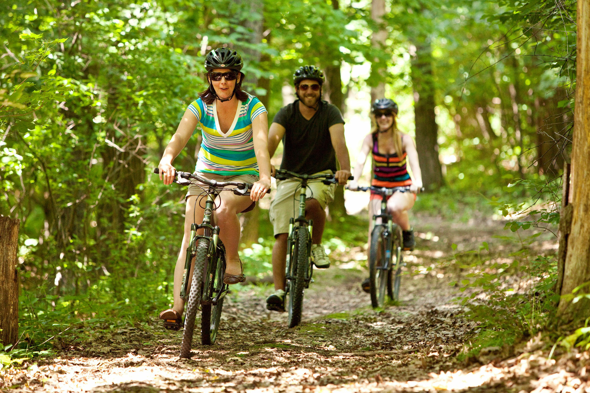 גלנה Chestnut Mountain Resort מראה חיצוני תמונה